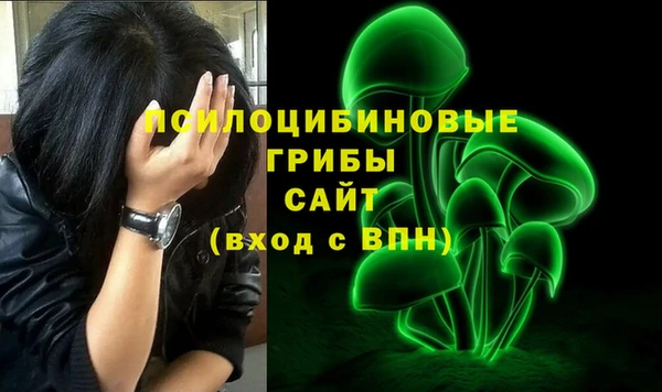 ECSTASY Абаза